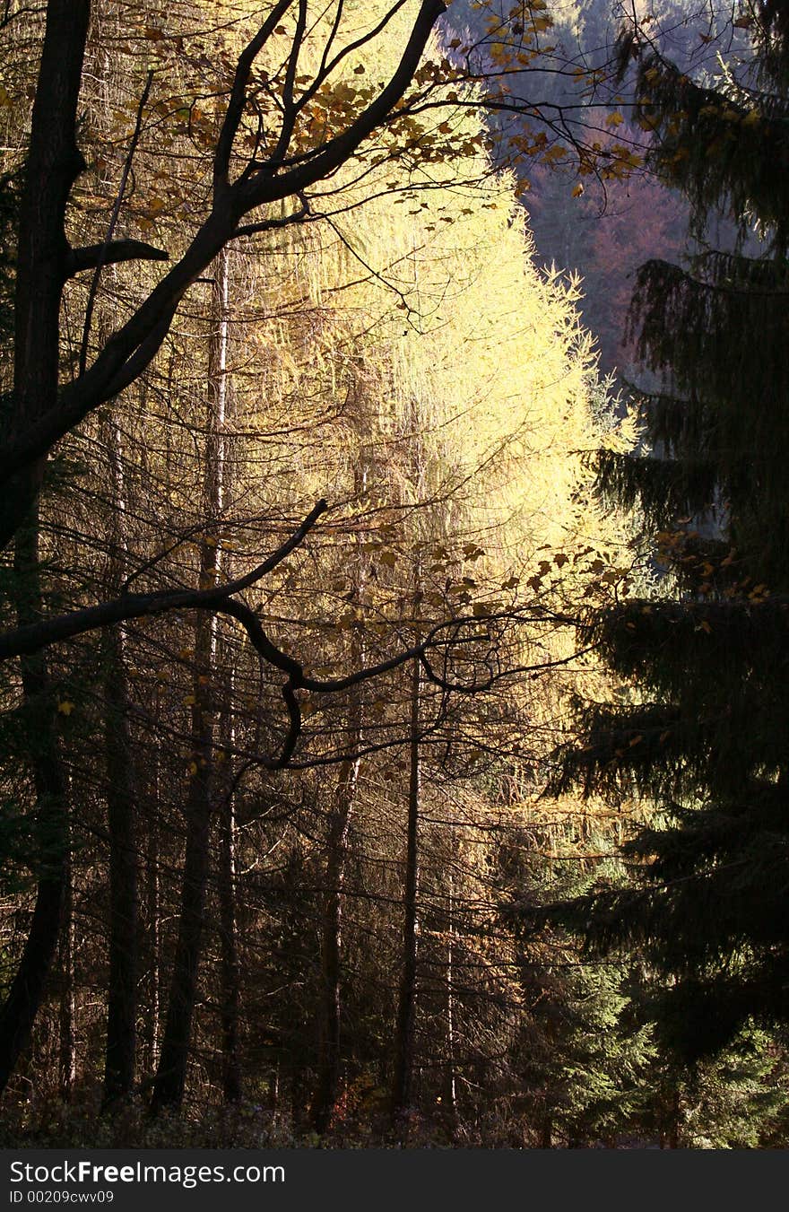 Autumn in the mountains