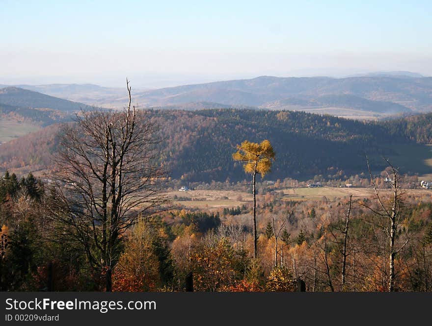 Autumn In The Mountains