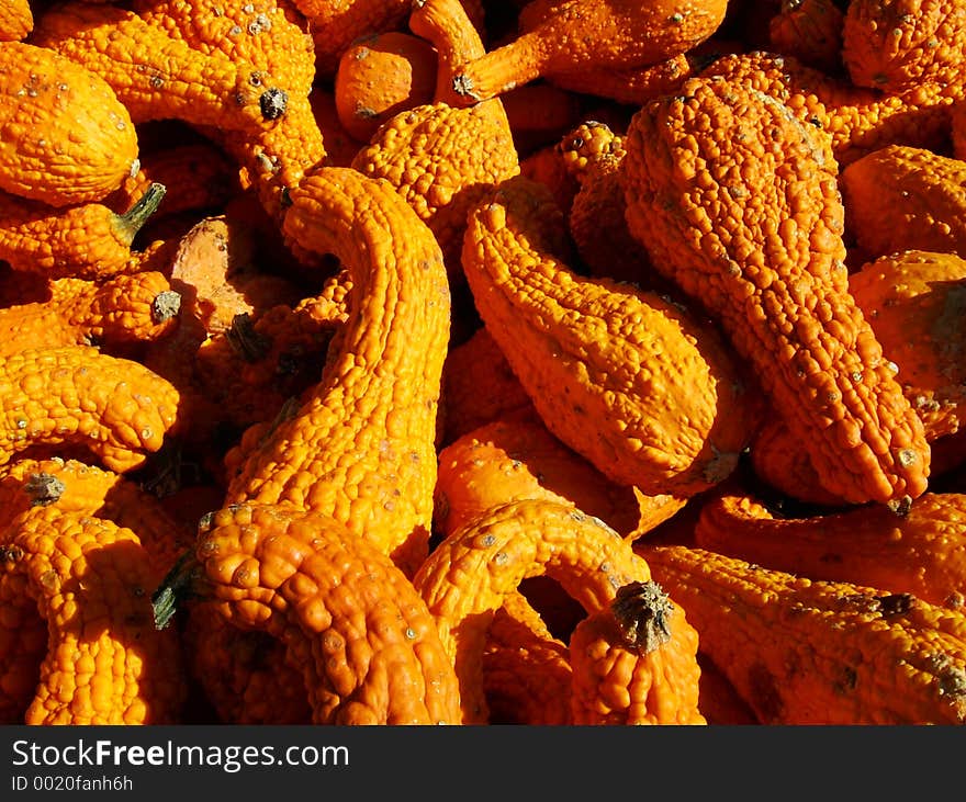 Group Of Pumpkin - Texture Orange - Yellow