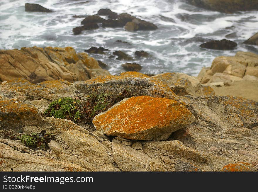 California Coast3