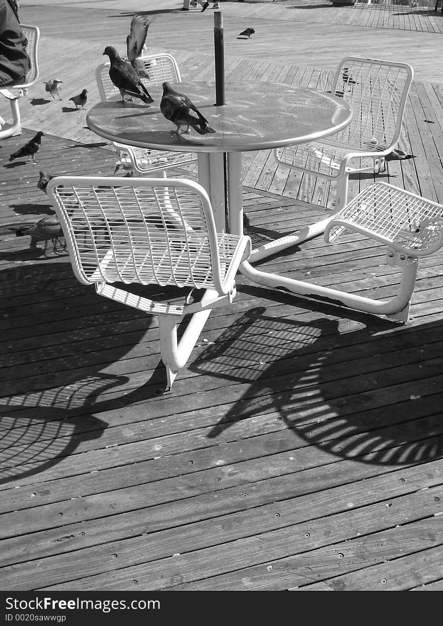 Pidgeons for Lunch. metal table on boardwalk in the summertime.