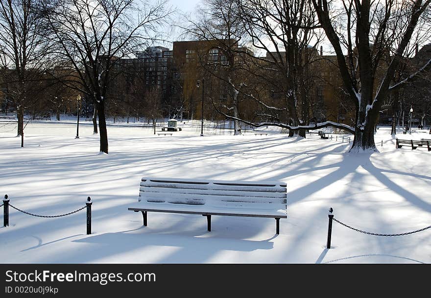 A Park bench under the long winter shadows. A Park bench under the long winter shadows