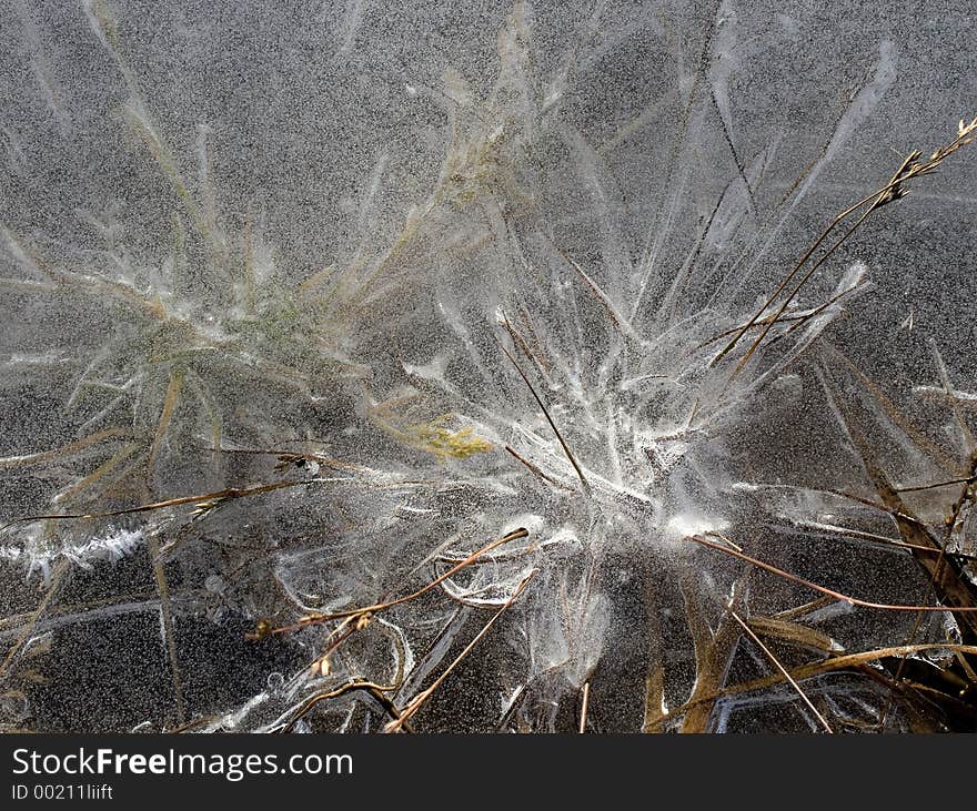 Frozen pool with grass. Frozen pool with grass