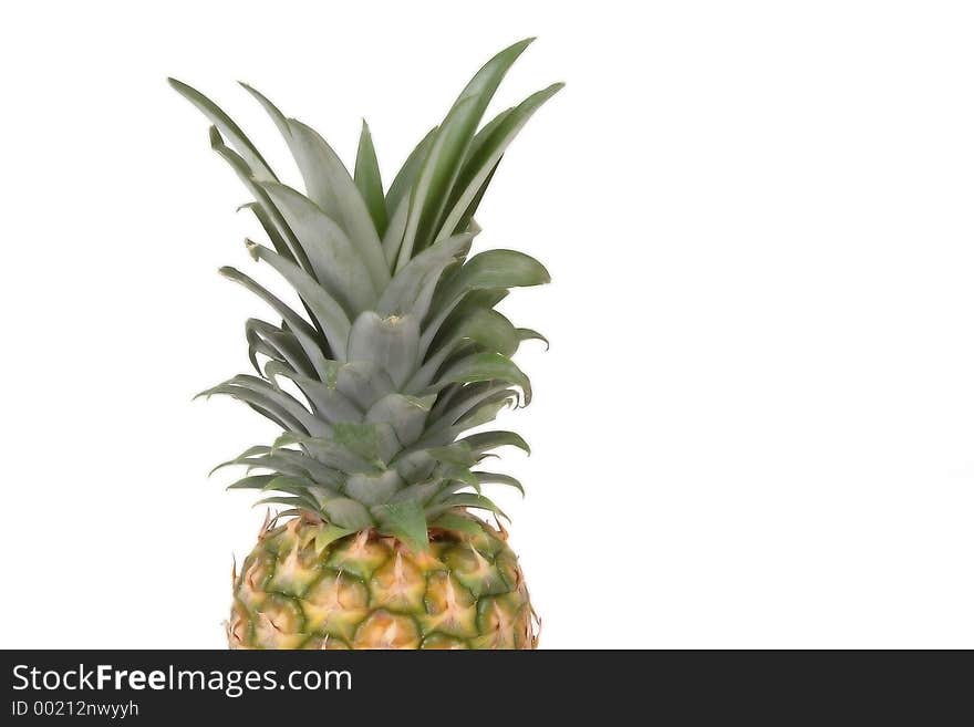 Pineapple head2