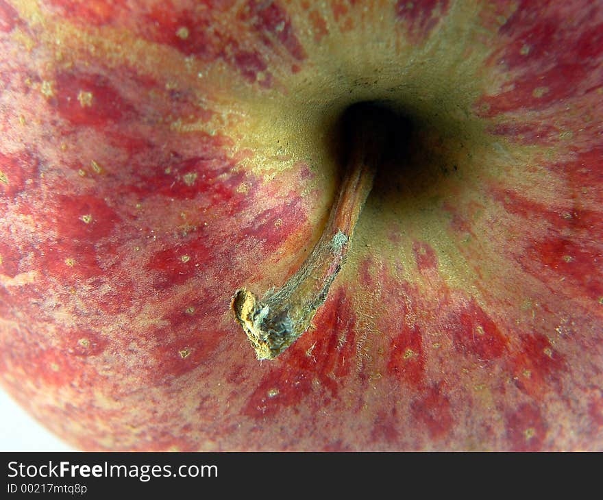 Stalk of a fresh fruit. Stalk of a fresh fruit