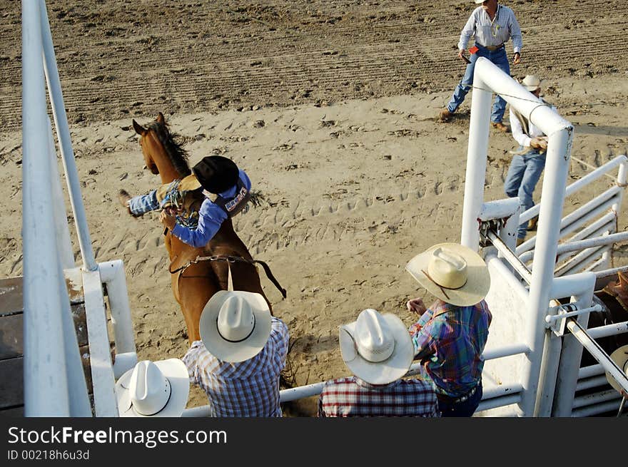 A cowboy comes out of the gate riding bareback. A cowboy comes out of the gate riding bareback.