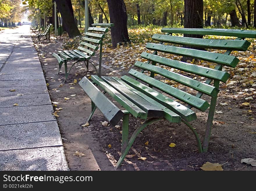 Benches in the park. Benches in the park