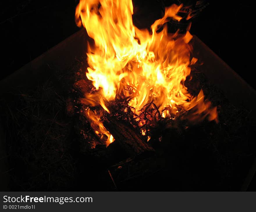 A recently lit and rapidly burning pile of brush. A recently lit and rapidly burning pile of brush