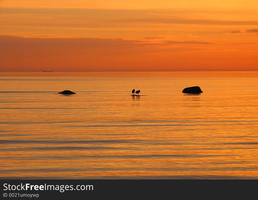 Two birds sitting between two stones on the background of bright orange sea sunset. Two birds sitting between two stones on the background of bright orange sea sunset