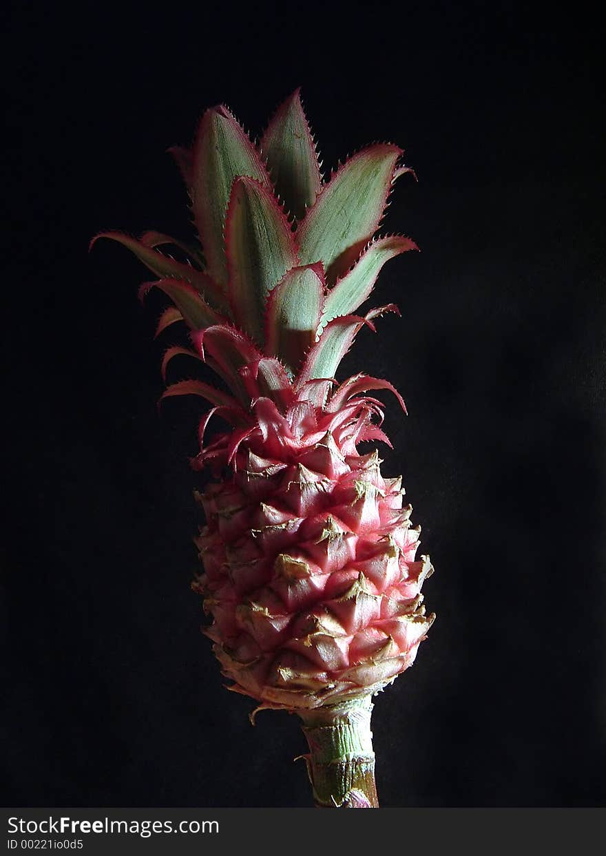 Ananas