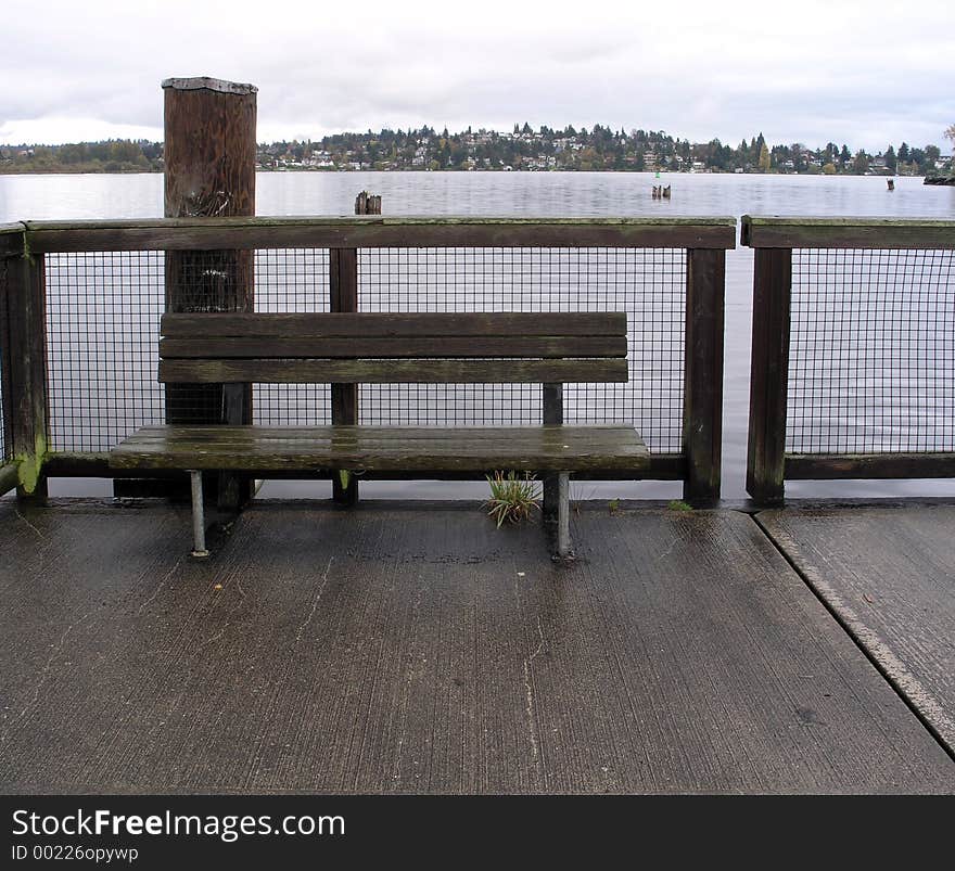 The University of Washington's Arboretum lies along the edge of Lake Washington, including a couple of small, marshy islands. A series of little bridges and platforms connect the islands. This shot is on one of those platforms, with the lake stretching out behind it. The University of Washington's Arboretum lies along the edge of Lake Washington, including a couple of small, marshy islands. A series of little bridges and platforms connect the islands. This shot is on one of those platforms, with the lake stretching out behind it.