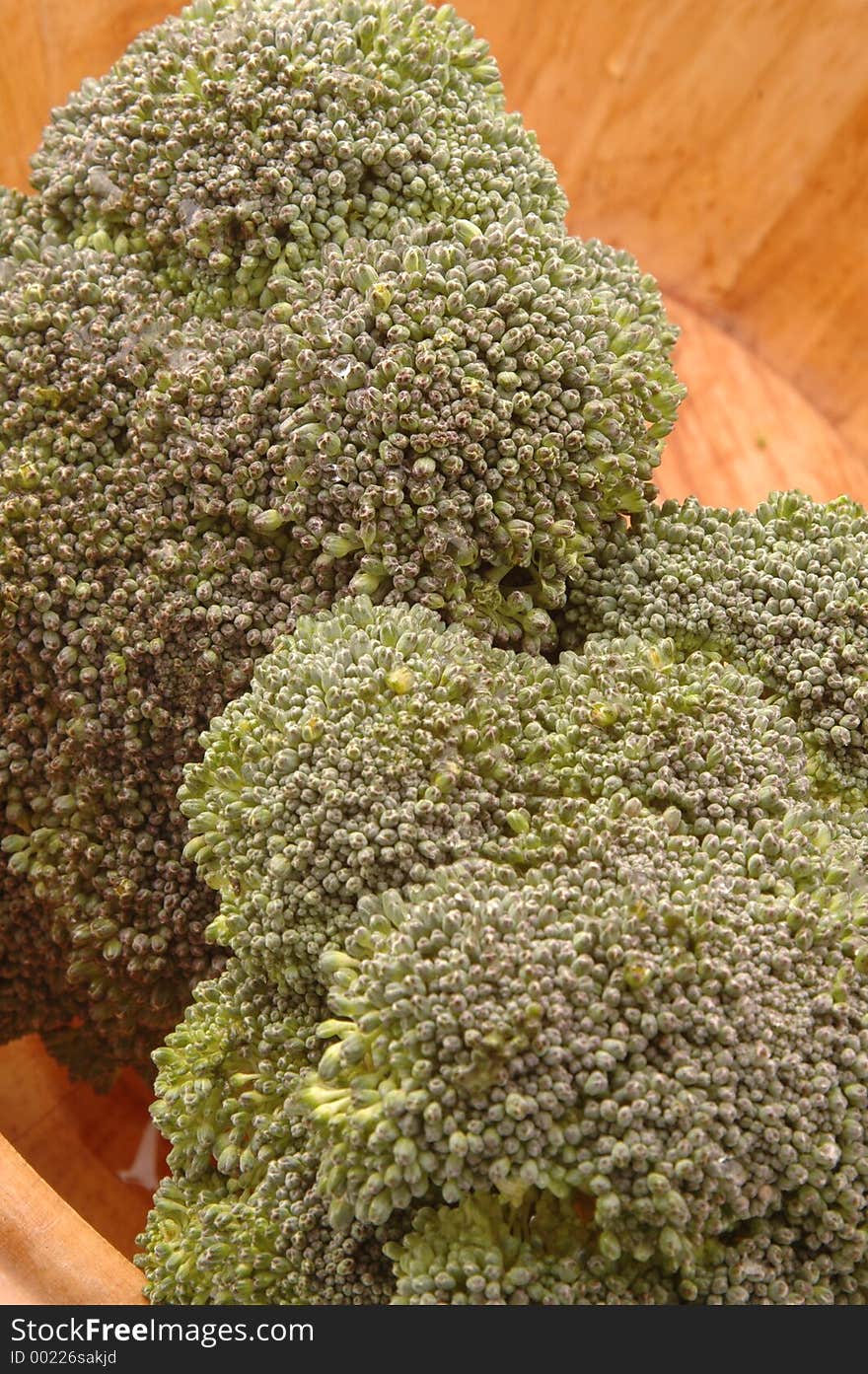 Broccoli 267