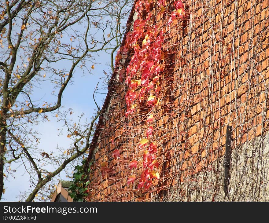 An old house in fall