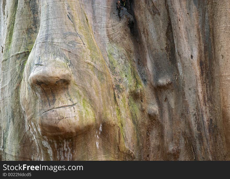 Wood trunk with face shape, Sweden. Wood trunk with face shape, Sweden