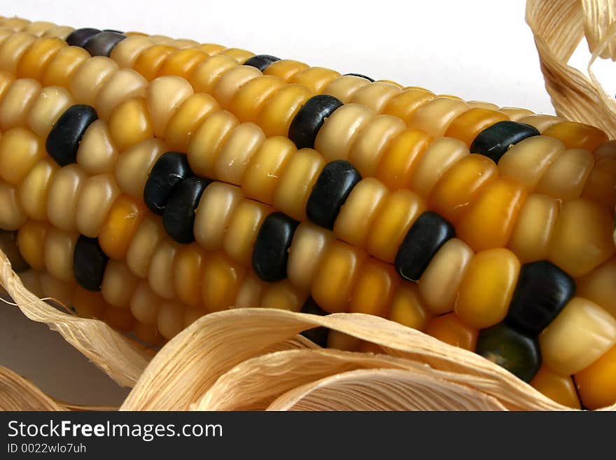 Corn ear with golden and black corns