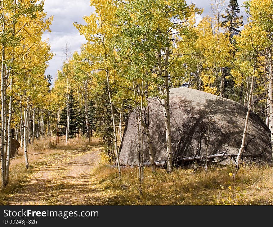 A dirt road in the Pike National Forest of Colorado winds its way through aspens in full fall colors and beside large boulders - horizontal orientation. A dirt road in the Pike National Forest of Colorado winds its way through aspens in full fall colors and beside large boulders - horizontal orientation.