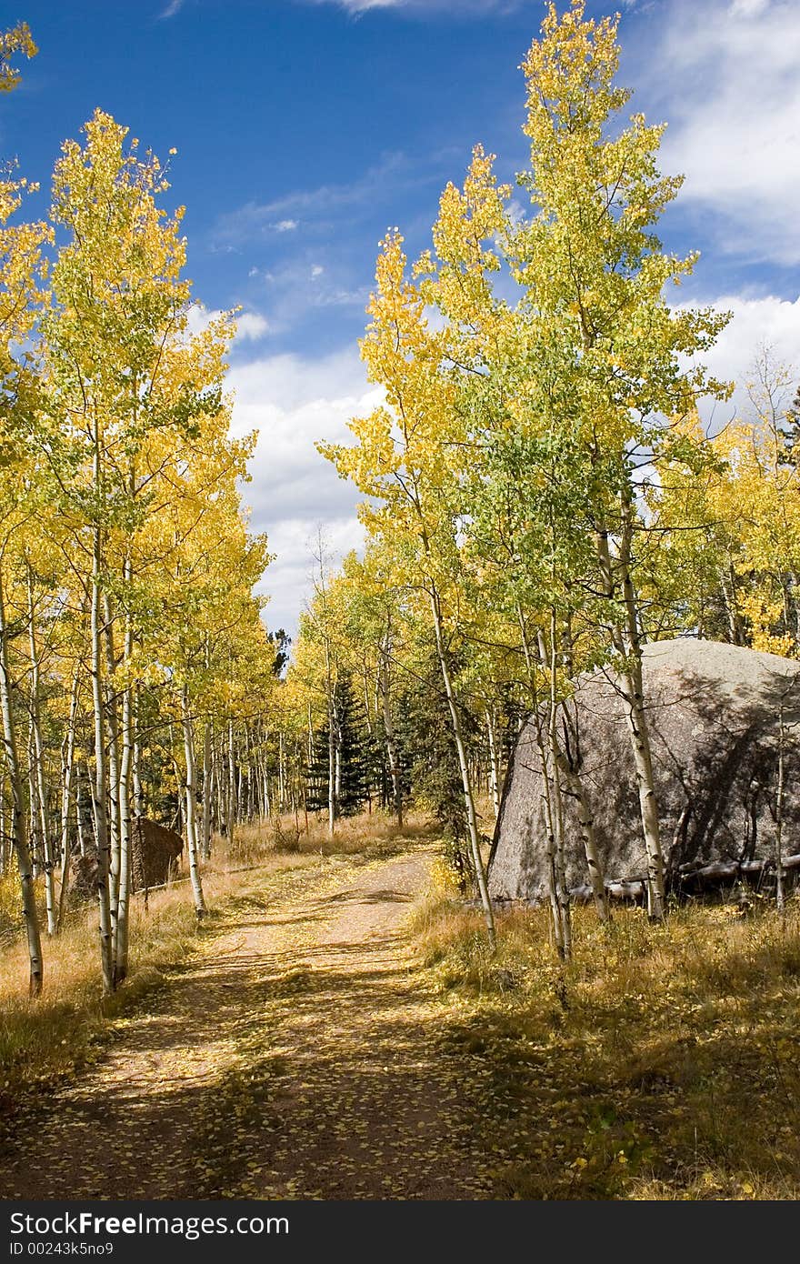 A dirt road on the Pike National Forest in Colorado winds its way through aspens in their fall colors and large boulders - vertical orientation. A dirt road on the Pike National Forest in Colorado winds its way through aspens in their fall colors and large boulders - vertical orientation.