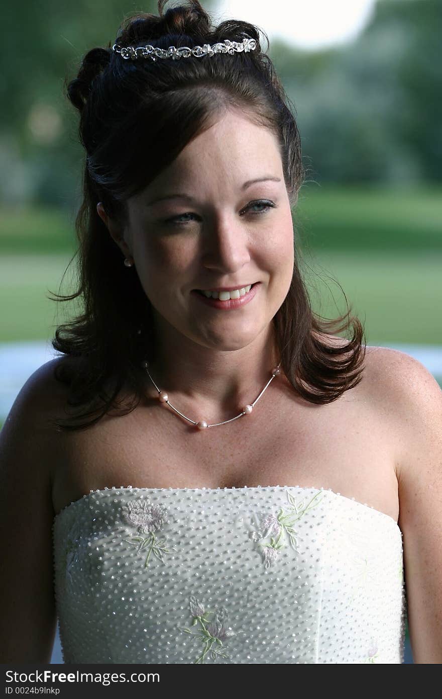 Brunette bride with beautiful blue eyes looks on. Brunette bride with beautiful blue eyes looks on.