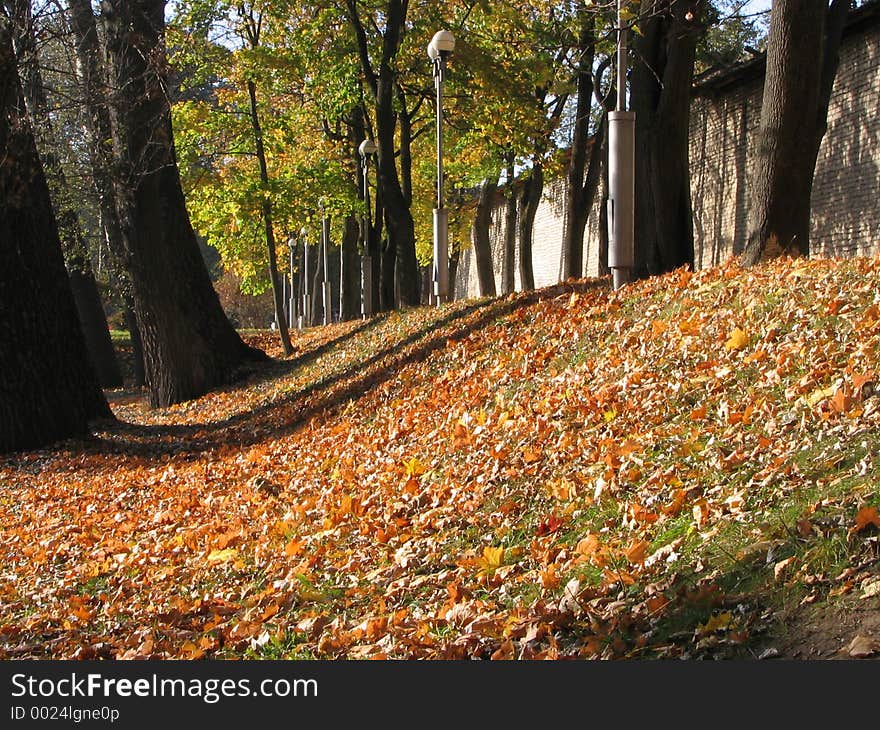 Lanterns in autumn park