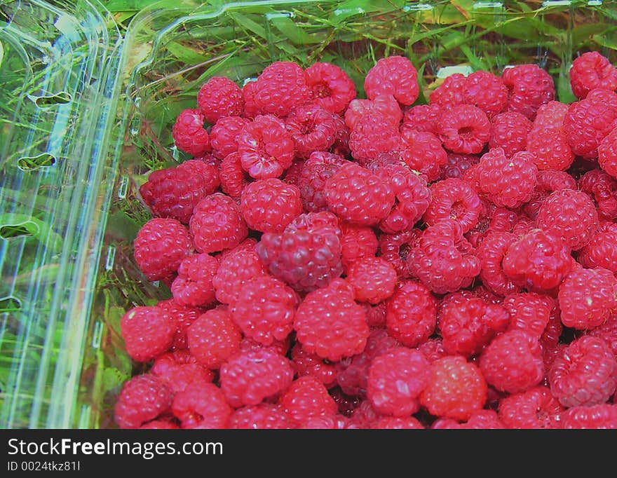 Raspberries Picked Today.