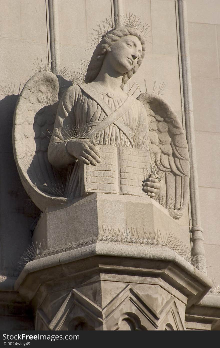 A sandstone angel on the face of a catholic church. A sandstone angel on the face of a catholic church.