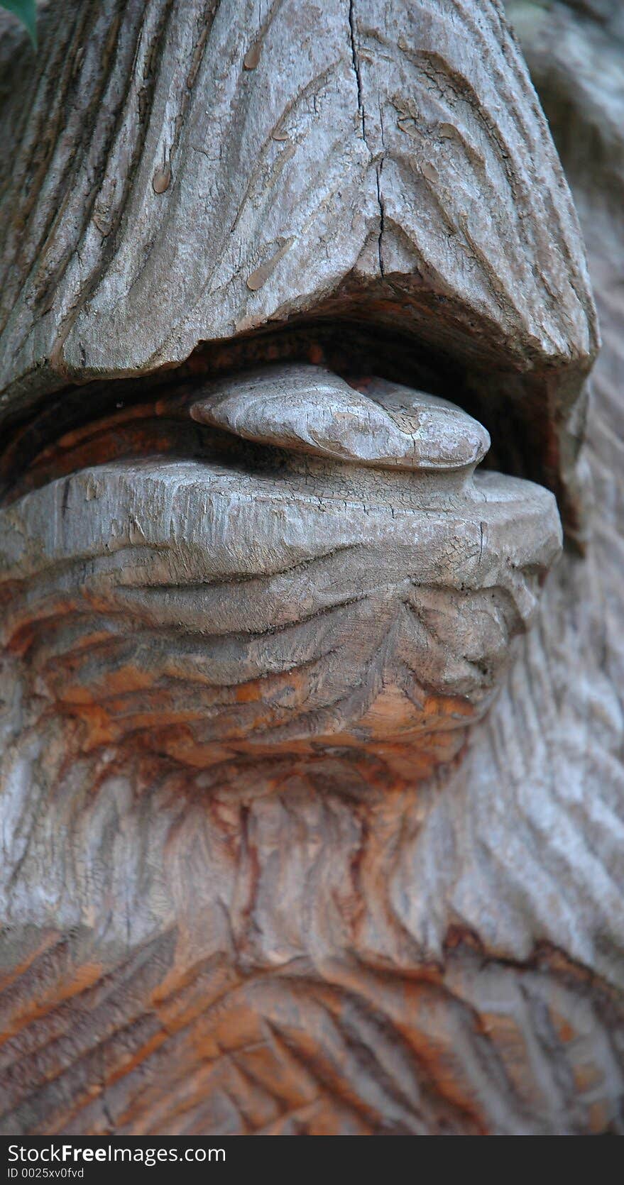 Wood Sculpture