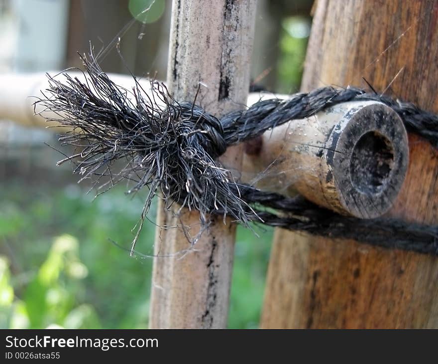 Old bamboo fence