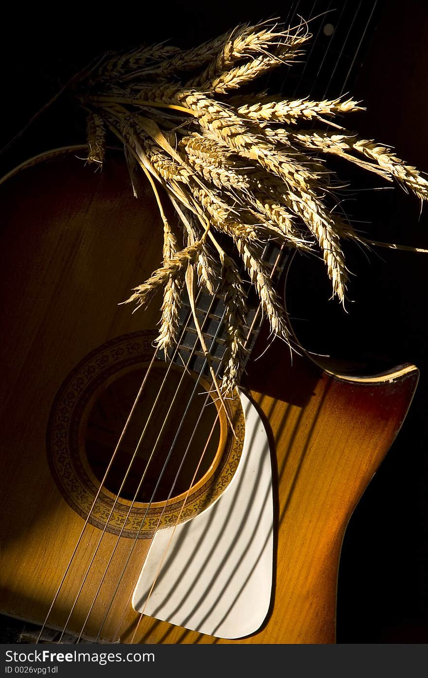 Golden wheat and guitar in contrast light