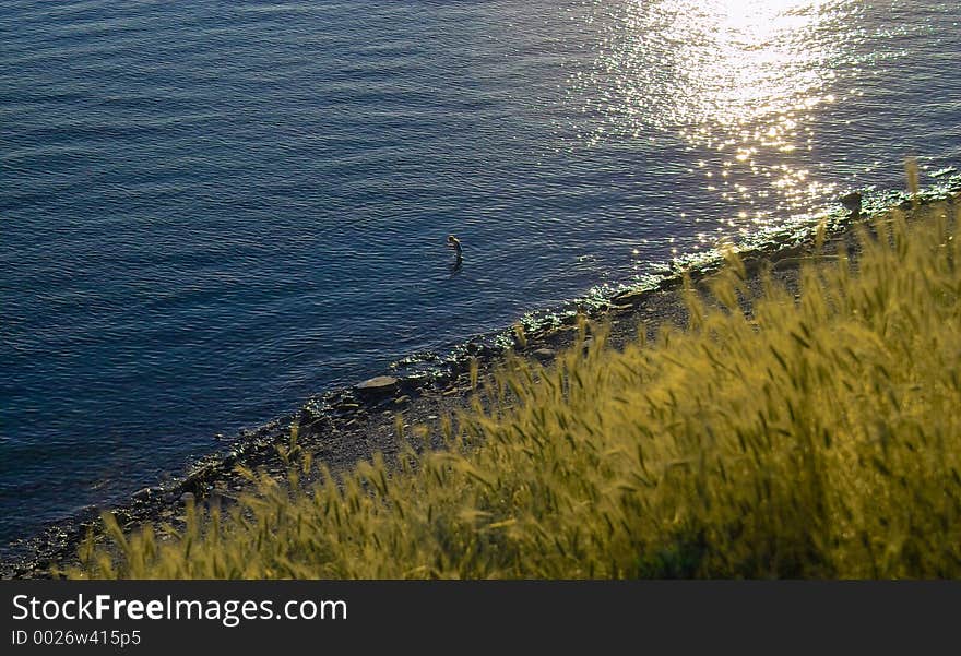 Wheat and the sea. Wheat and the sea