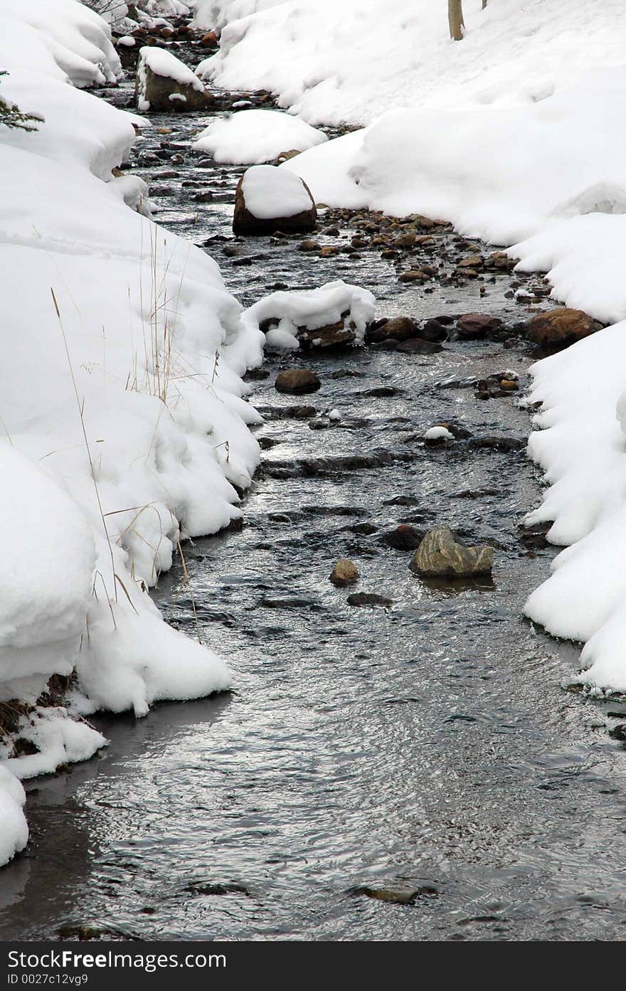 Snowy Stream