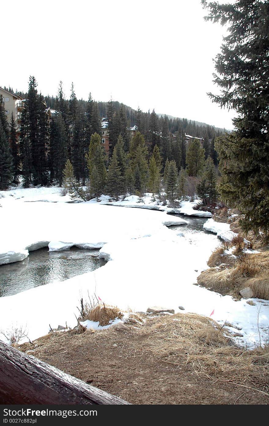 Melting Snow in Spring