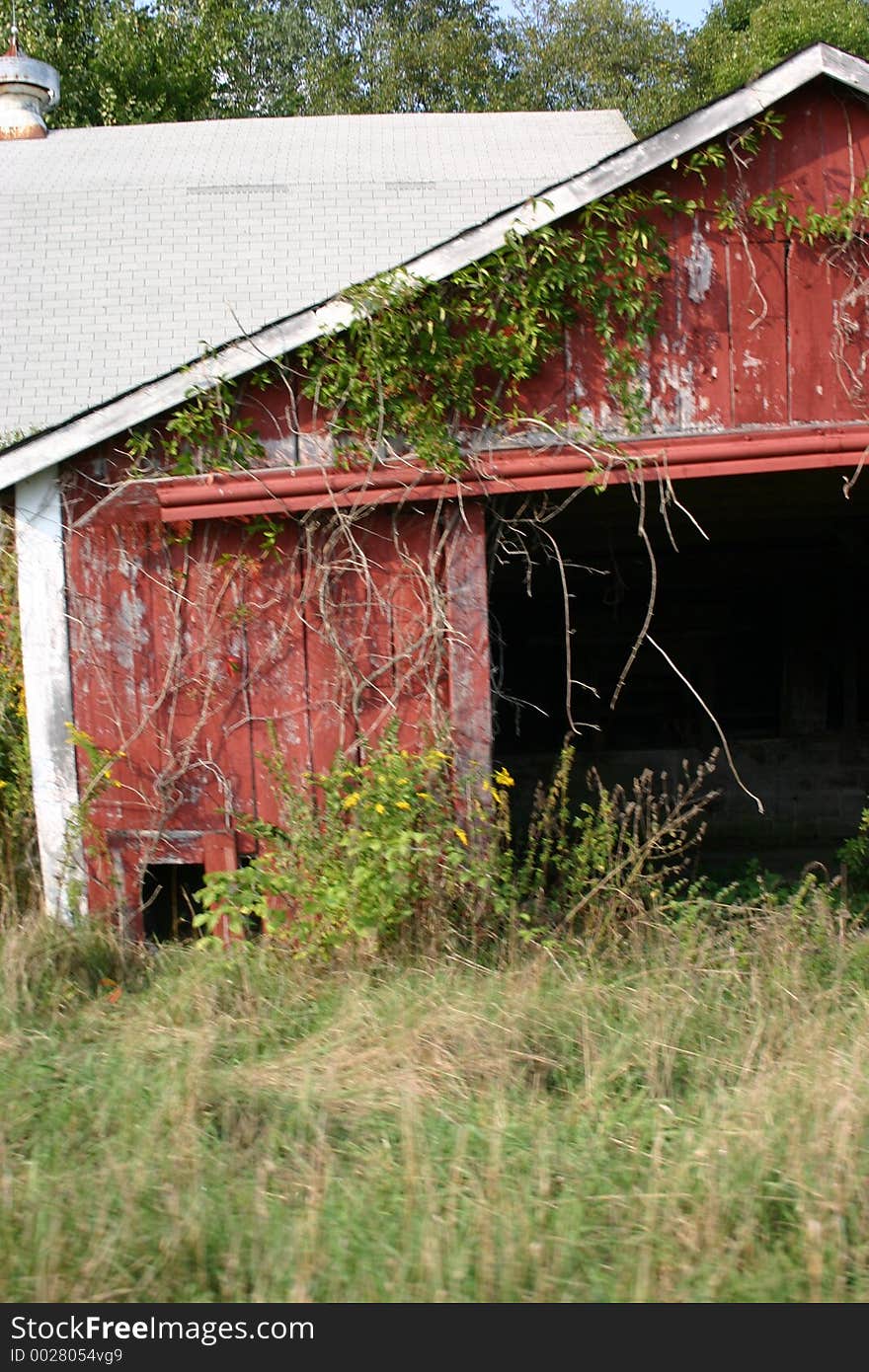 An old rustic barn with greenery overgrown on it. An old rustic barn with greenery overgrown on it.