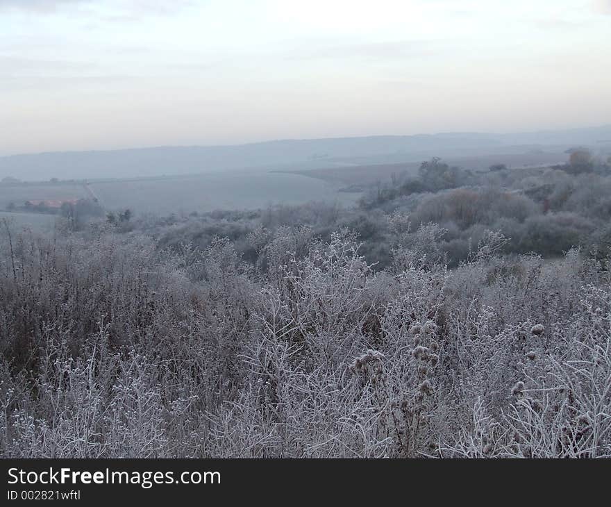 Frozen Field