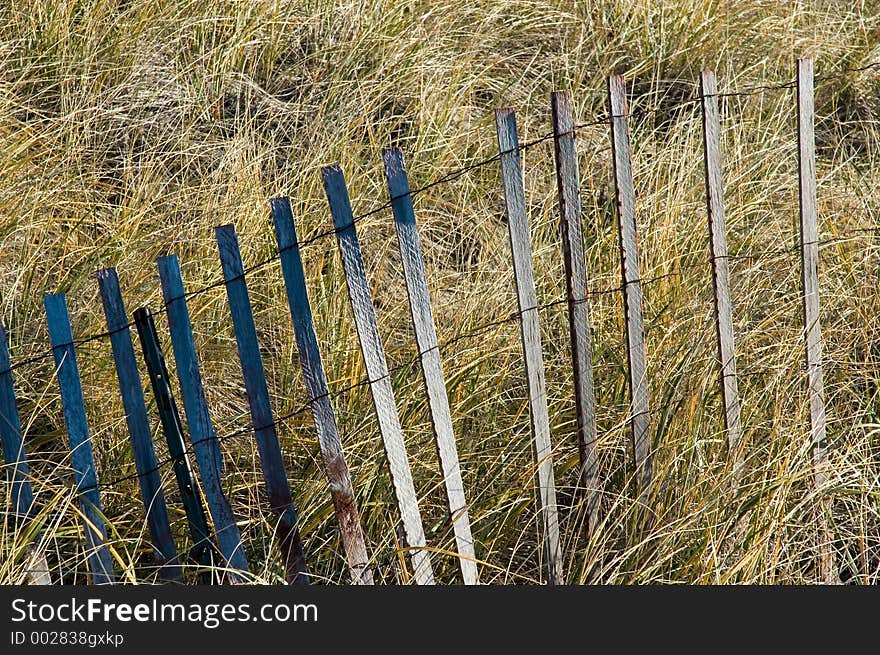 Storm Fence in Marsh Grass