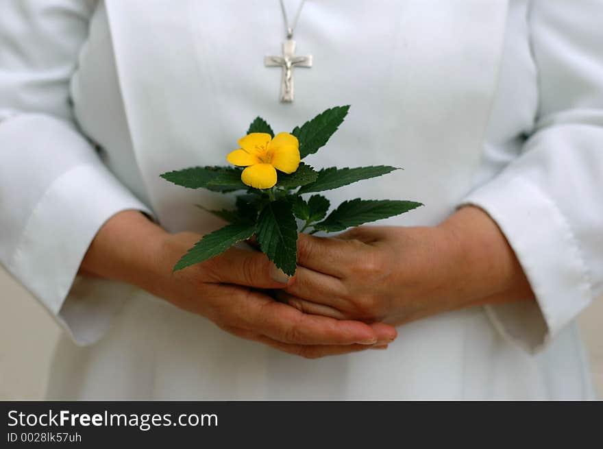 Hand of a catholic nun and flower. Hand of a catholic nun and flower.