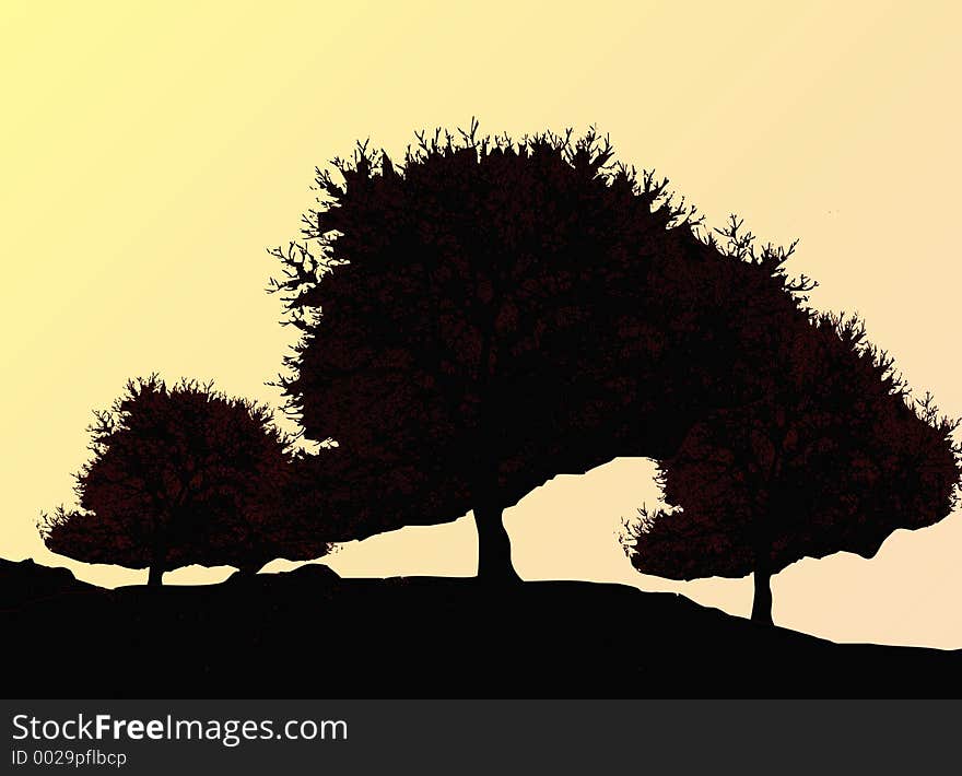 Silhouette of oak tree in autumn