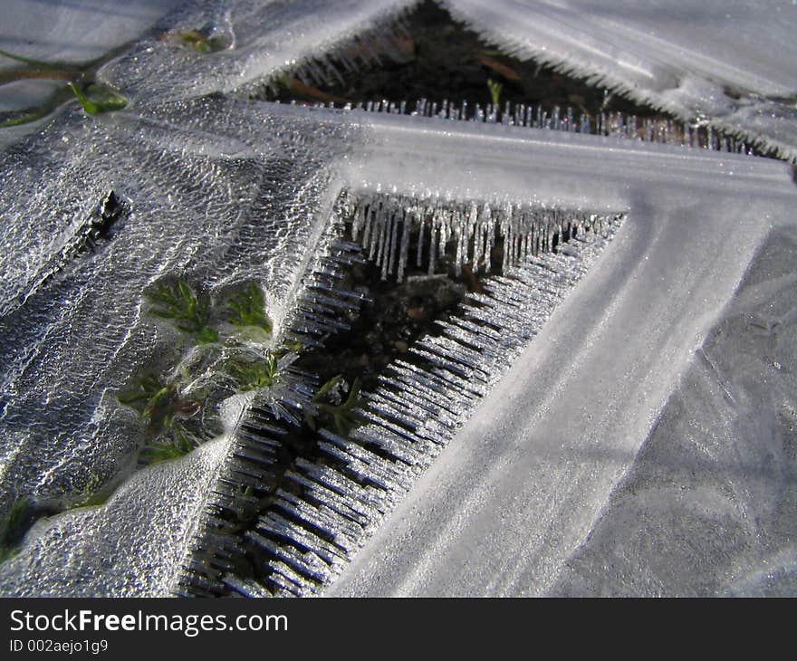 First winter picture on a frozen pool. First winter picture on a frozen pool