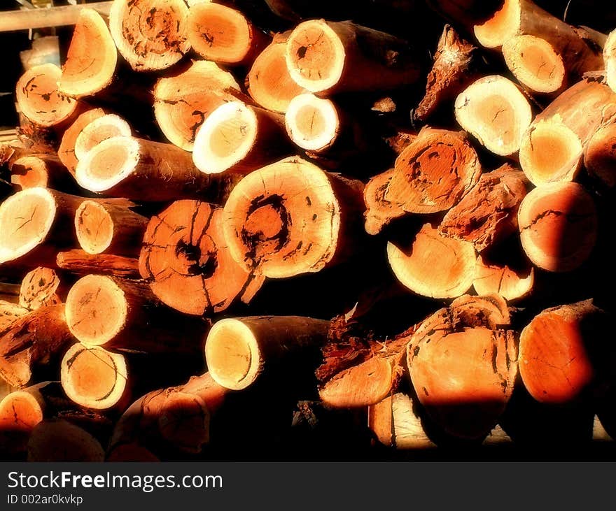 A pile of timber freshly cut for a paddle steamer on the banks of the River Murray. A pile of timber freshly cut for a paddle steamer on the banks of the River Murray.