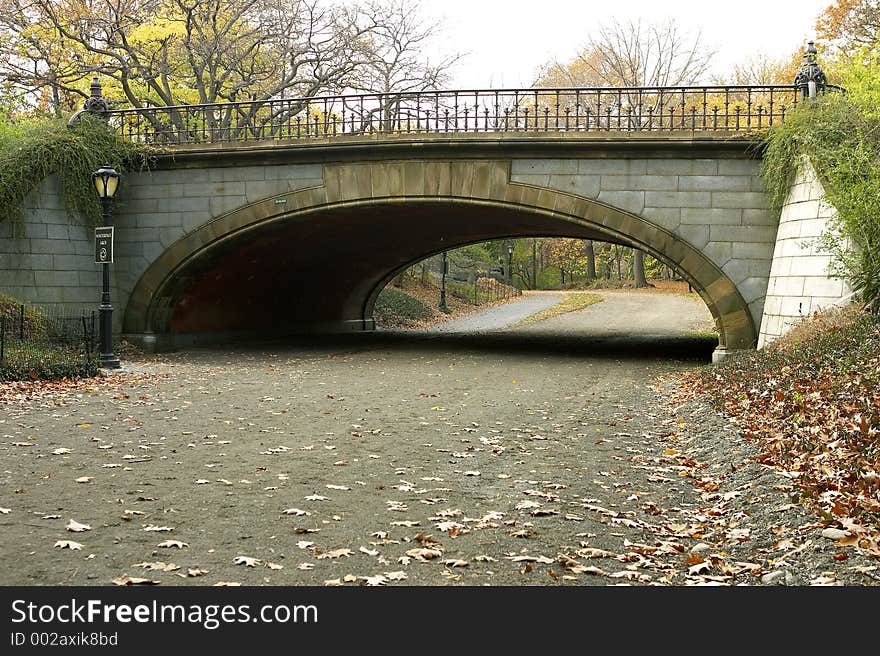 Winterdale arch, central park, Manhattan, New York, America, USA