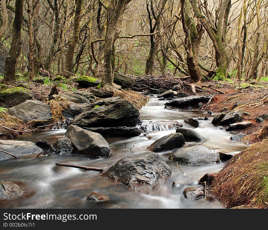 Creek at the Gorge