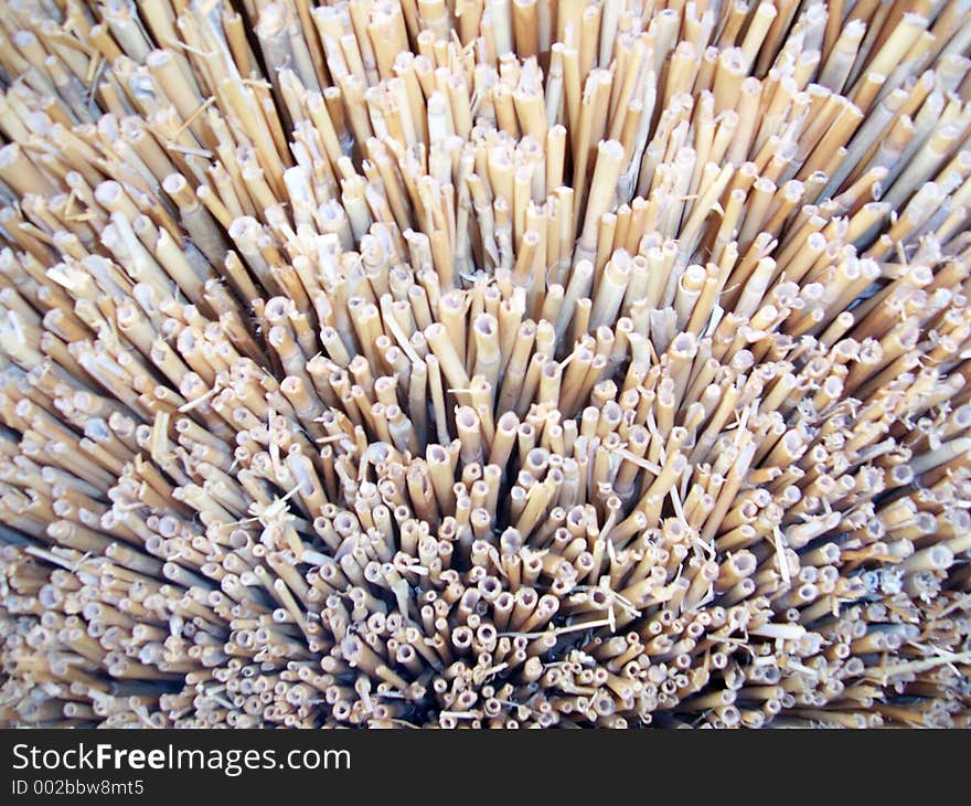 End of the thatch of a thatched roof. End of the thatch of a thatched roof