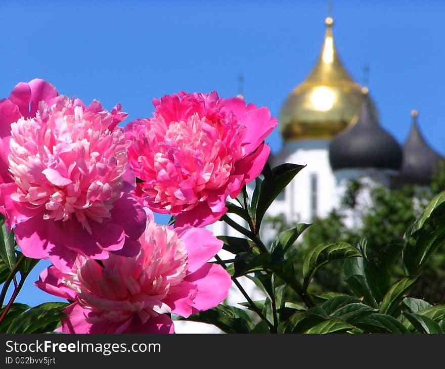 Flowers and dome of church. Flowers and dome of church