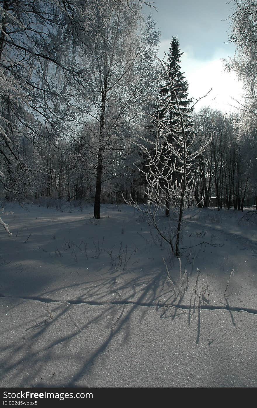 The Winter Mysterious Park.