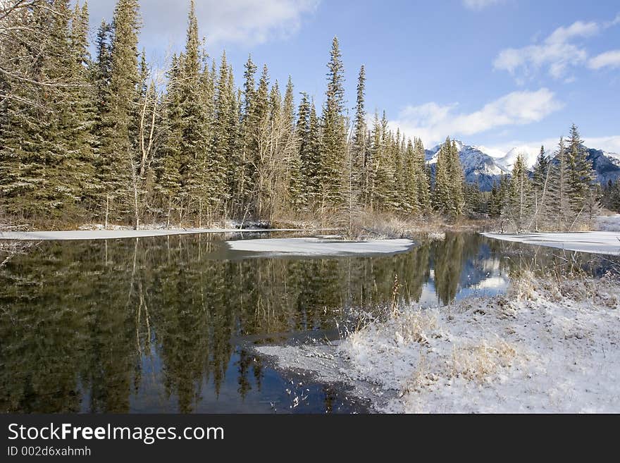 A pond on a cold winters day. A pond on a cold winters day