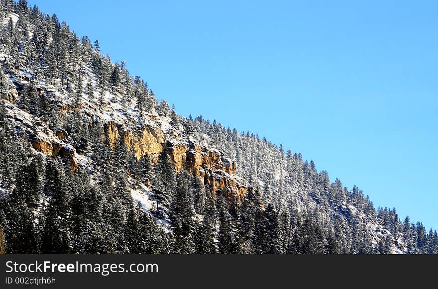 Winter scenic. Winter scenic