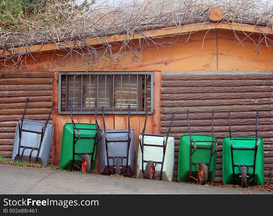 Wheelbarrows lined up against a shed