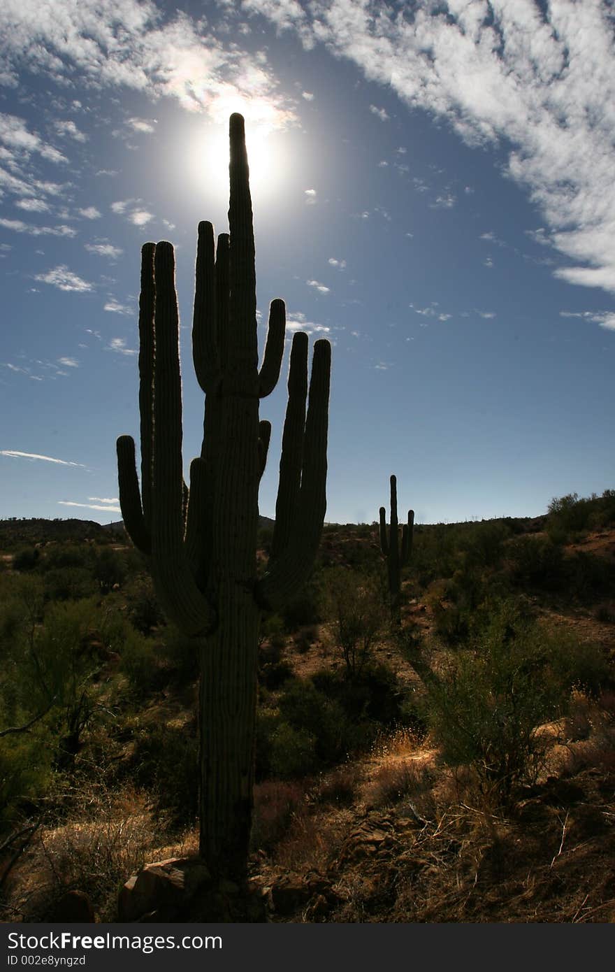 Saguaro silhouette on blue sky with clouds