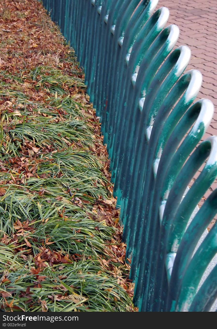 Fence and grass