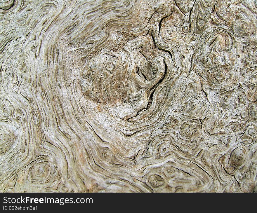 Bark Texture 1