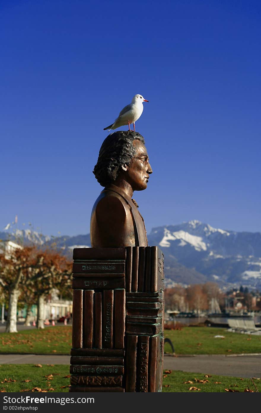 Seagull Land On The Statue